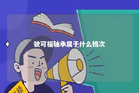 驶可福轴承属于什么档次 